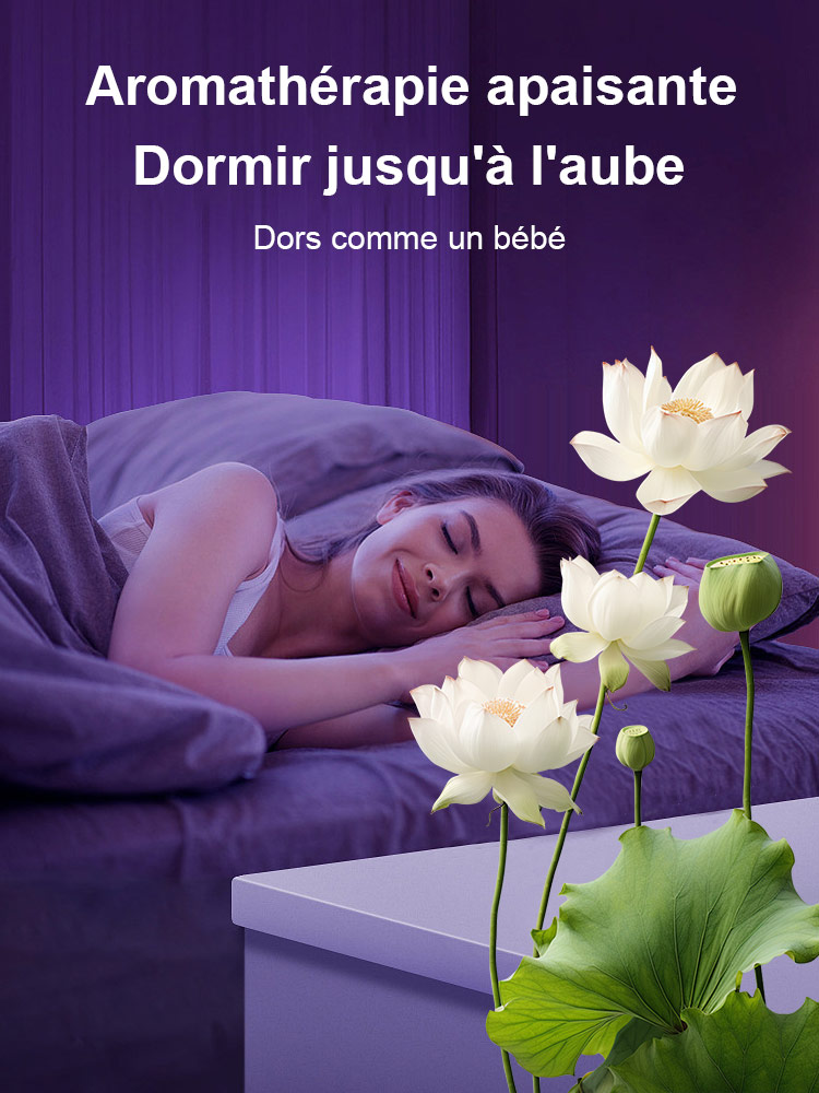 【Air pur】Lotus en hydroponie ornemental🌱 💧 