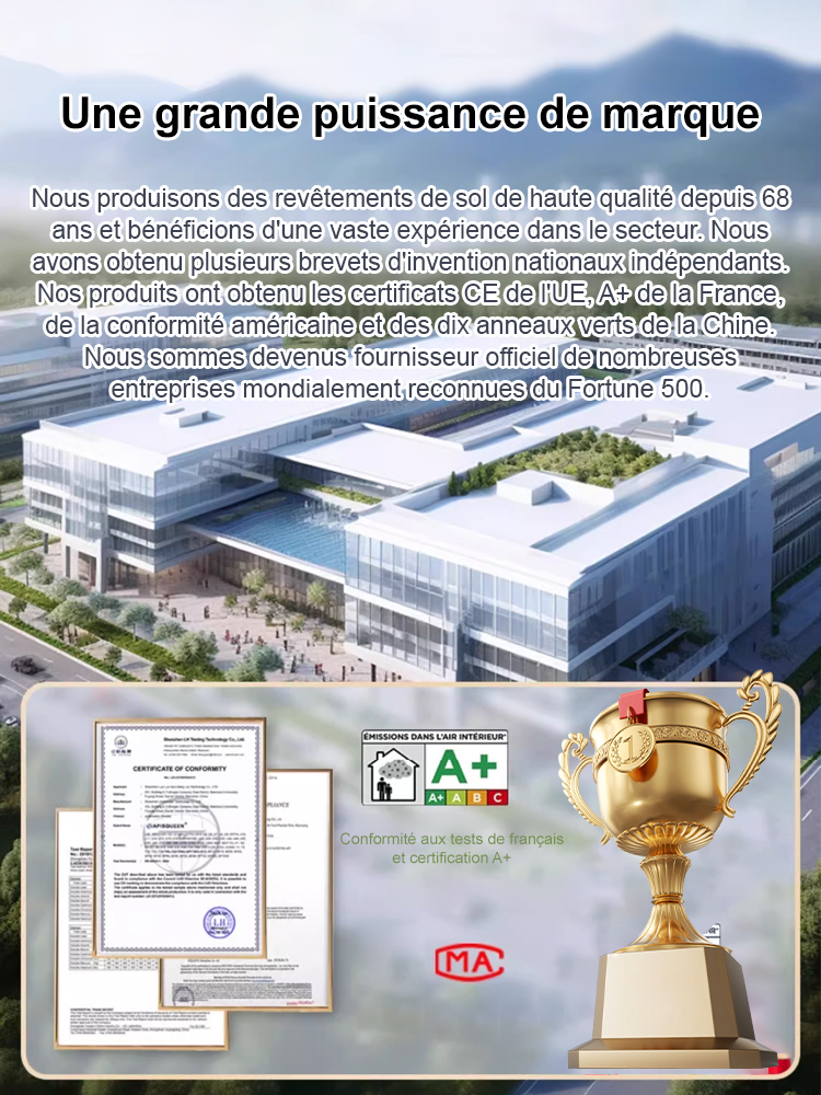 【🌟De nouveaux revêtements de sol viennent d'être présentés au salon de la quincaillerie de Cologne en Allemagne🌟】Postuler le jour même, emménager le jour même