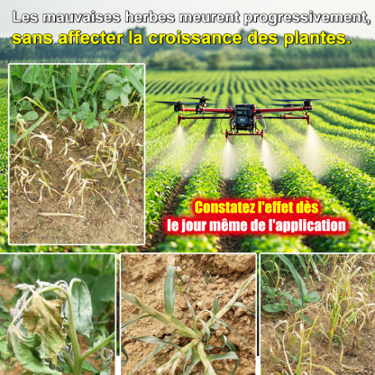 【Herbicide doublement certifié par le Ministère français de l'Agriculture et l'Ange Bleu】