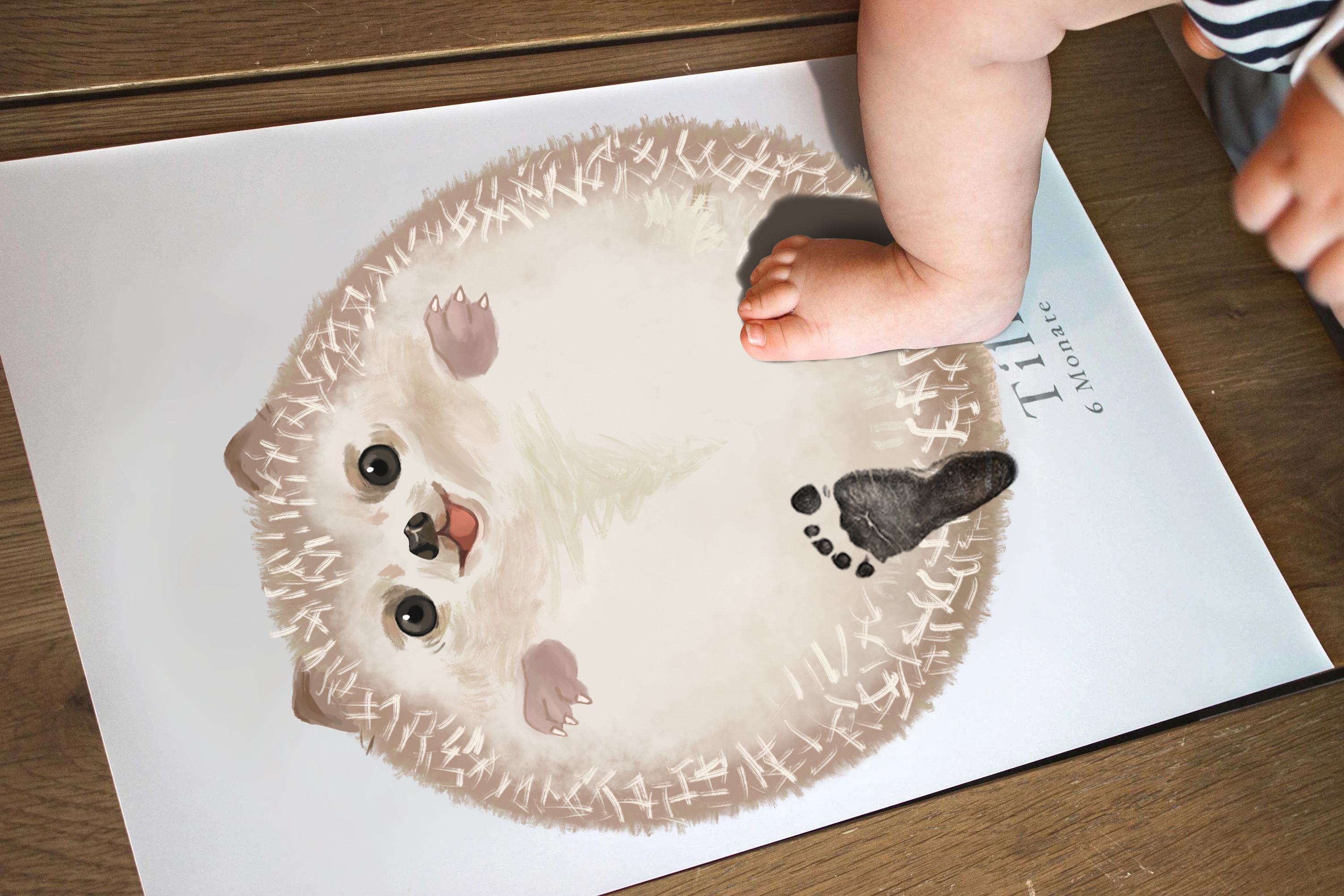 Lovbabe Cute Hedgehog Baby Footprint Kit | Personalized Keepsake, Mural Nursery Decor & Children's Room Art, Unique Hamster Gift Animals,Cute Hedgehog🐾 Christmas Gifts-Lovbabe