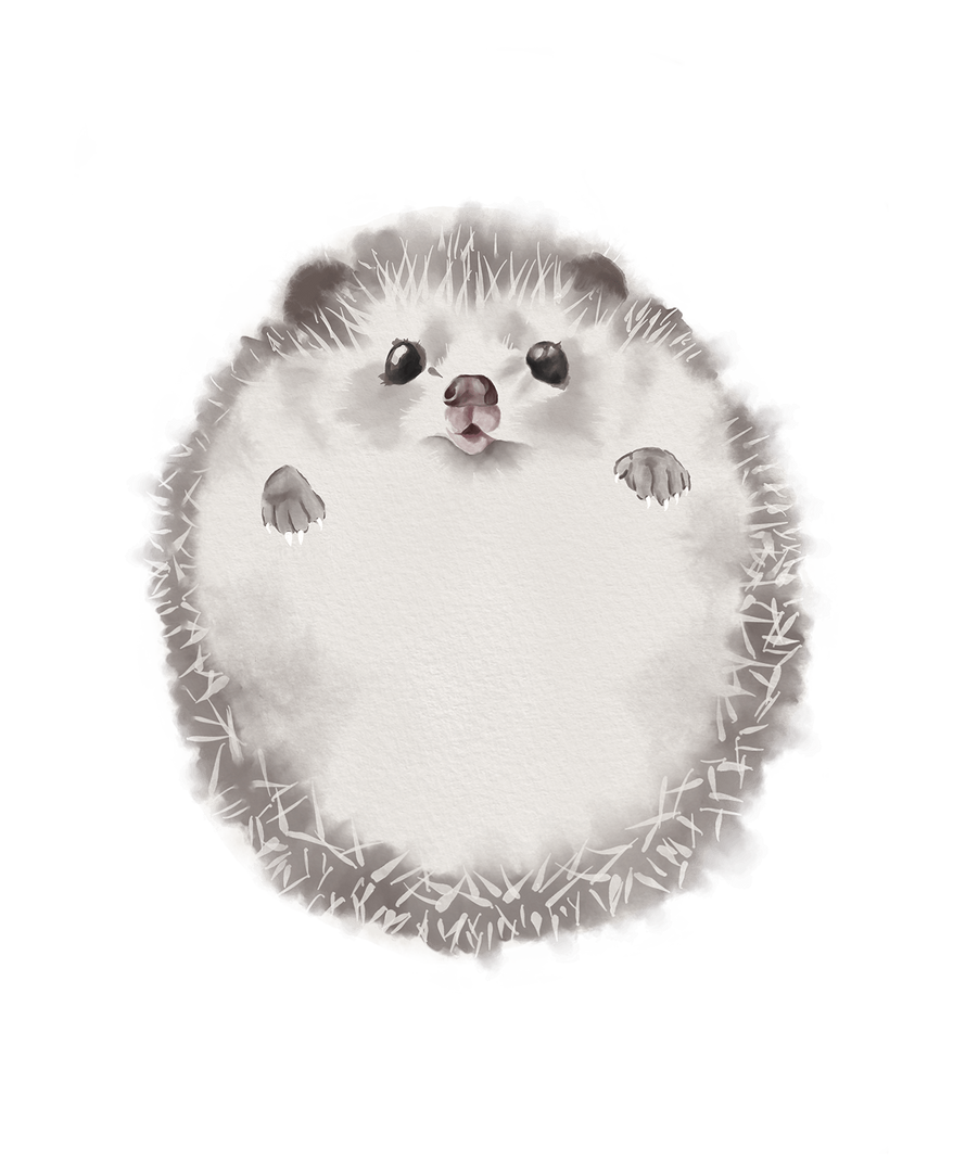 Lovbabe Hedgehog🦔 Baby Footprint Kit | Personalized Keepsake, Mural Nursery Decor & Children's Room Art, Unique Baby & Pet Gift Animals, Hedgehog Christmas Gifts-Lovbabe