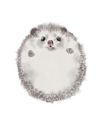 Lovbabe Hedgehog🦔 Baby Footprint Kit | Personalized Keepsake, Mural Nursery Decor & Children's Room Art, Unique Baby & Pet Gift Animals, Hedgehog Christmas Gifts-Lovbabe