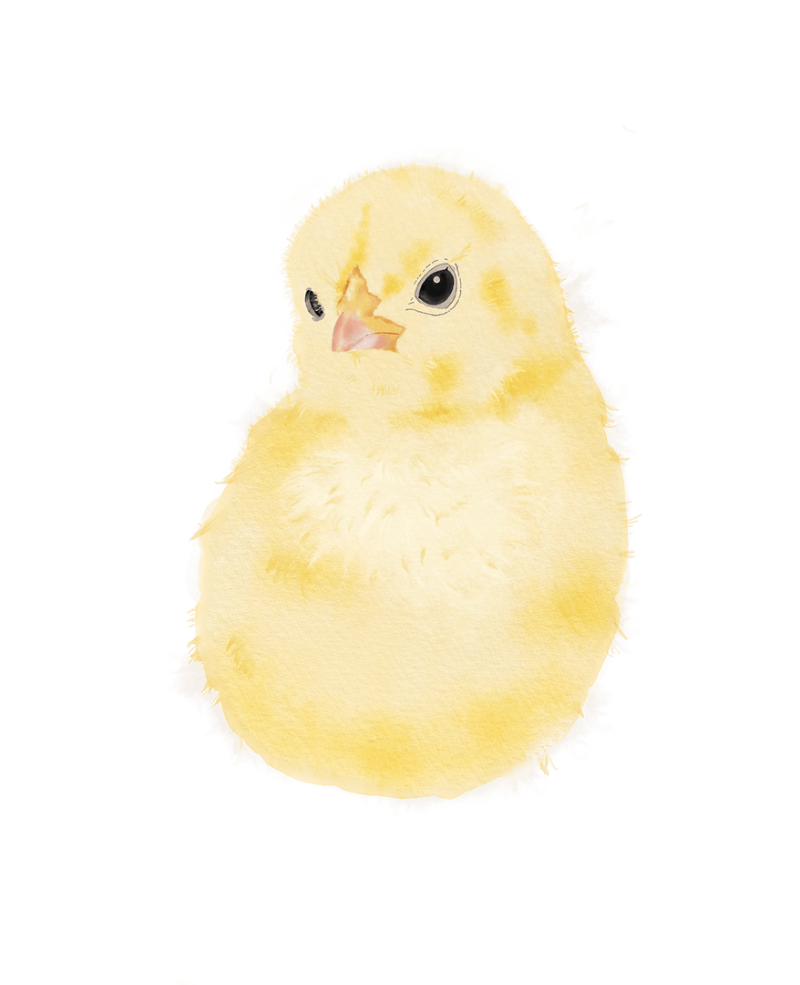 Lovbabe Littel Chicks Baby Footprint Kit | Personalized Keepsake, Mural Nursery Decor & Children's Room Art, Unique Hamster Gift Animals, Chicks Christmas Gifts-Lovbabe