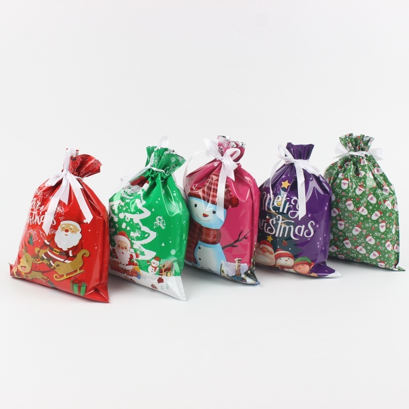 Kringle Express 50-Piece Gift Bags & Tags Set