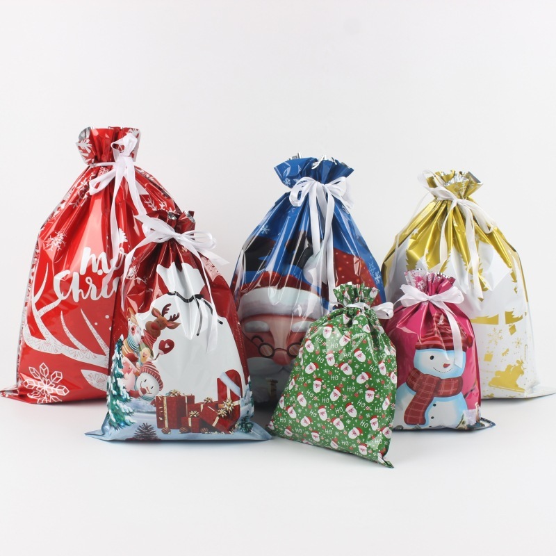 Kringle Express 50-Piece Gift Bags & Tags Set
