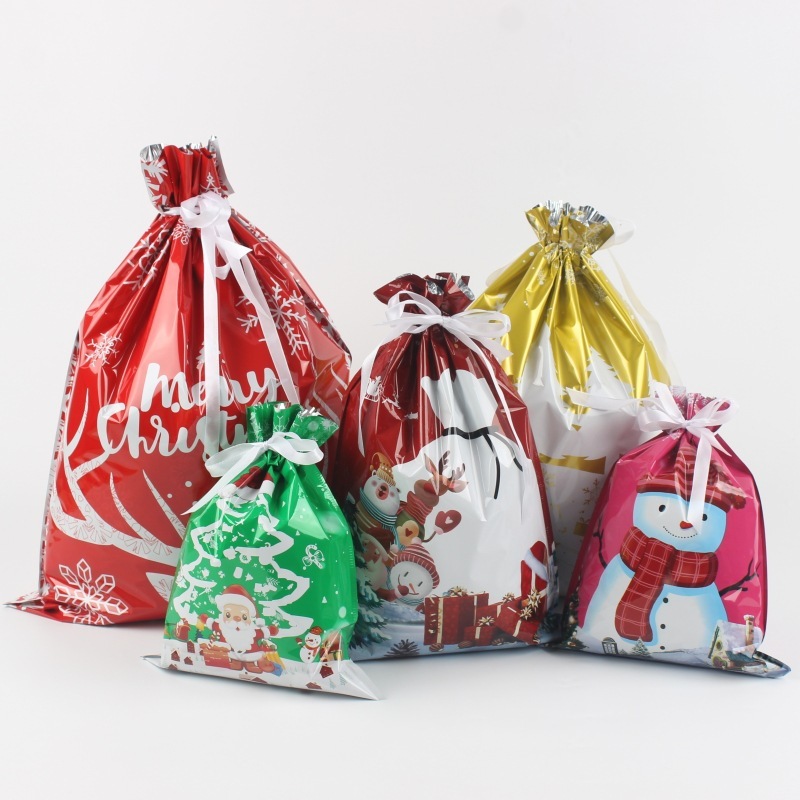 Kringle Express 50-Piece Gift Bags & Tags Set