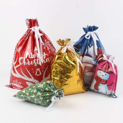 Kringle Express 50-Piece Gift Bags & Tags Set