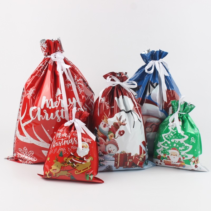 Kringle Express 50-Piece Gift Bags & Tags Set