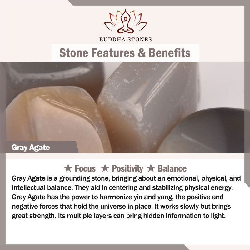 Buddha Stones Tibet 108 Mala Beads Bodhi Seed Bagua Vajra Dzi Bead Gray Agate Wealth Bracelet Mala Bracelet BS 3