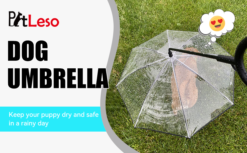 umbrella for dogs