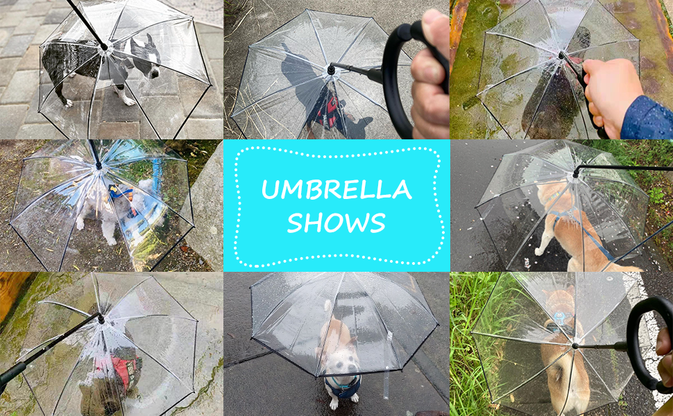umbrella leash