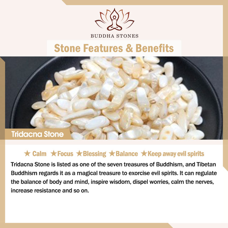 Buddha Stones Natural Tridacna Stone Crescent Moon Blessing Necklace Pendant Necklaces & Pendants BS 1