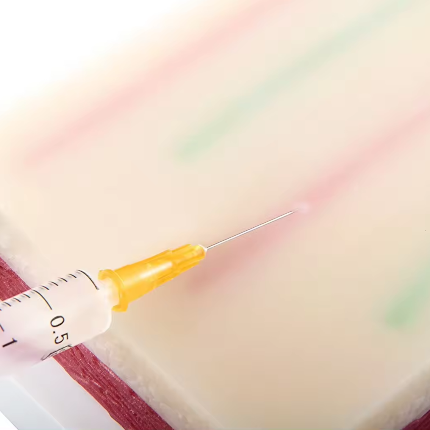 IV Catheter Training Kit