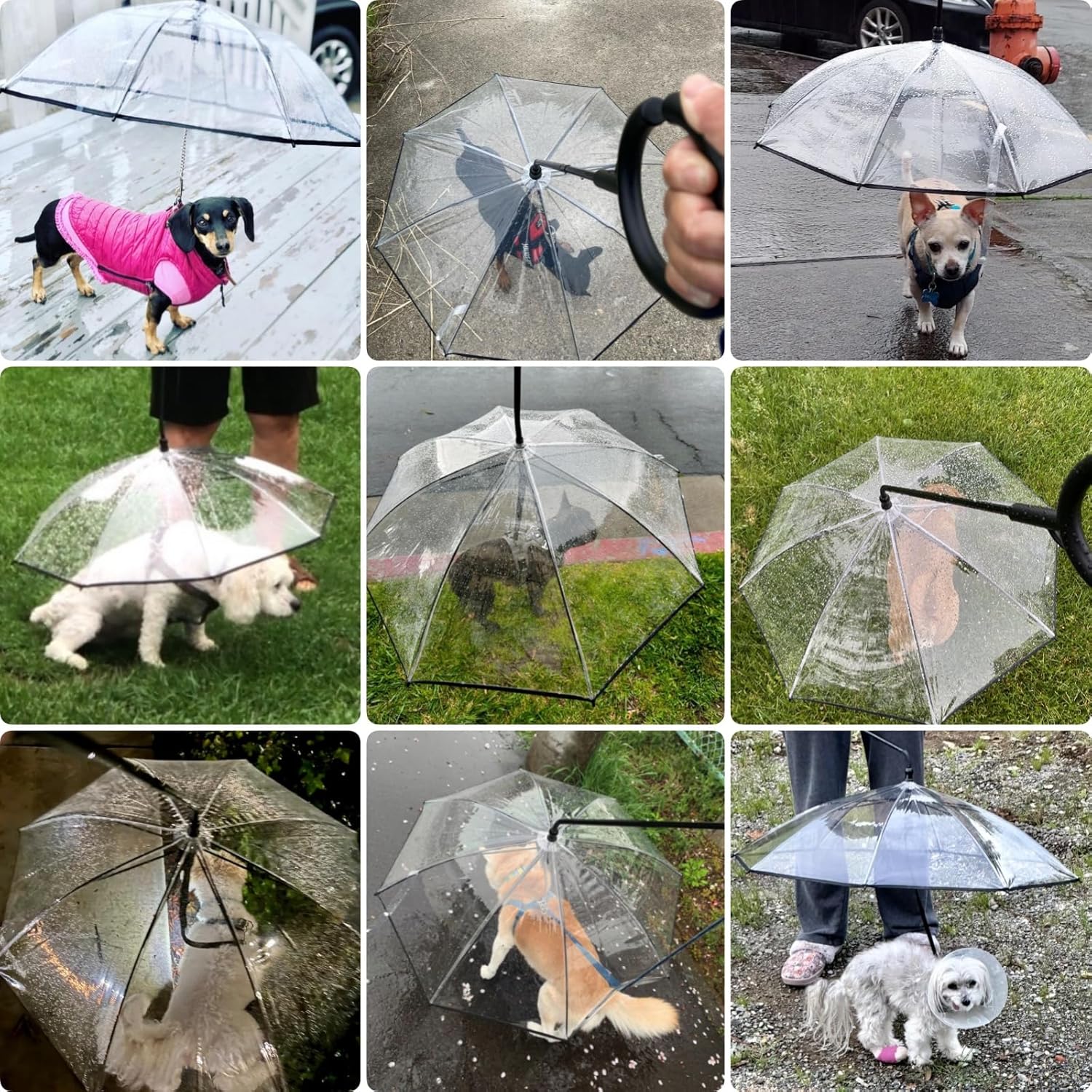 Petleso Umbrella for Small Dogs, Pet Umbrella for Dogs in Rainy Day with Adjustable Leash