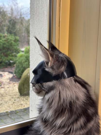 BatCat Mask