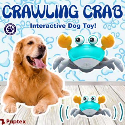 Crawling Crab™ - Interactive Dog Toy