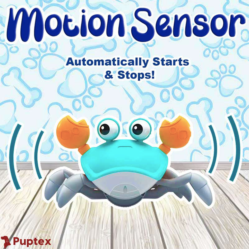 Crawling Crab™ - Interactive Dog Toy