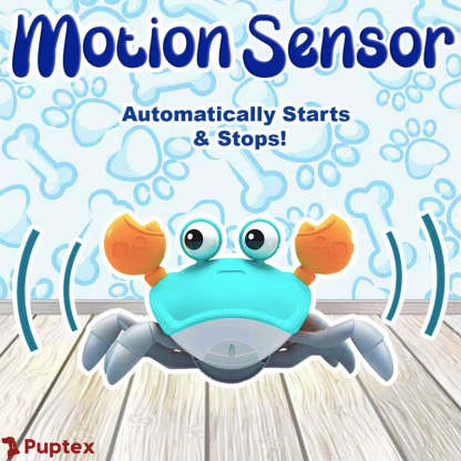 Crawling Crab™ - Interactive Dog Toy