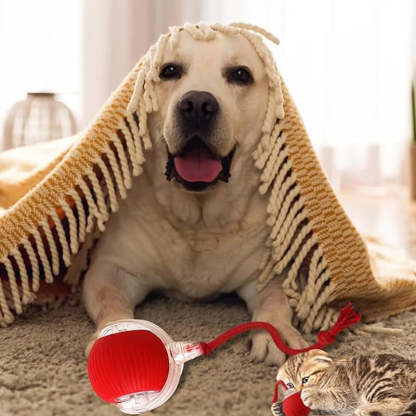 🎁Early Xmas Sales - 49% OFF🐶Smart Automatic Rolling Pet Ball