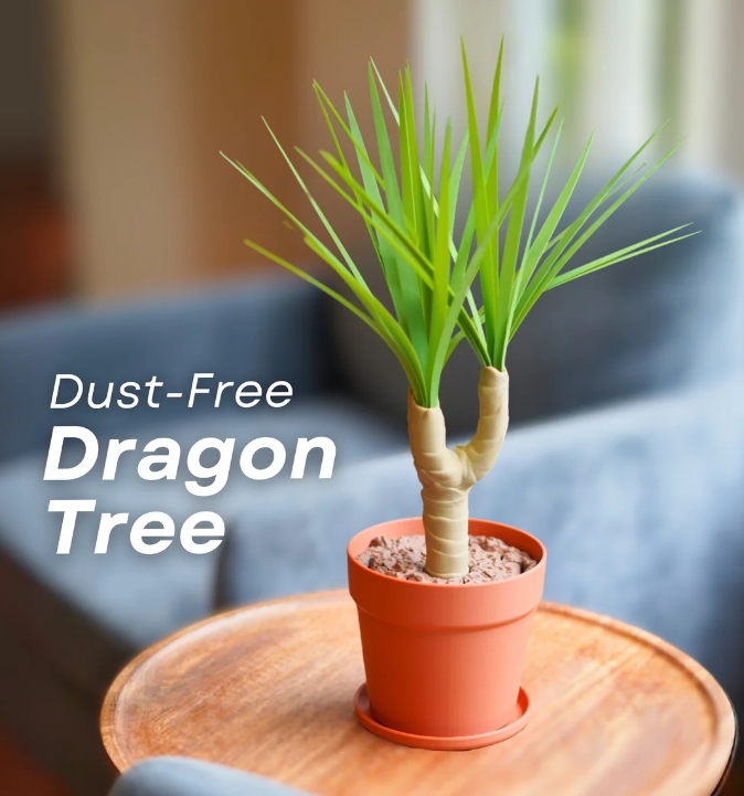 🎁TikTok Last Day Sale - 70% OFF🔥3D Print Dust-Free Dragon Tree（🛒59 units = Selling FAST）
