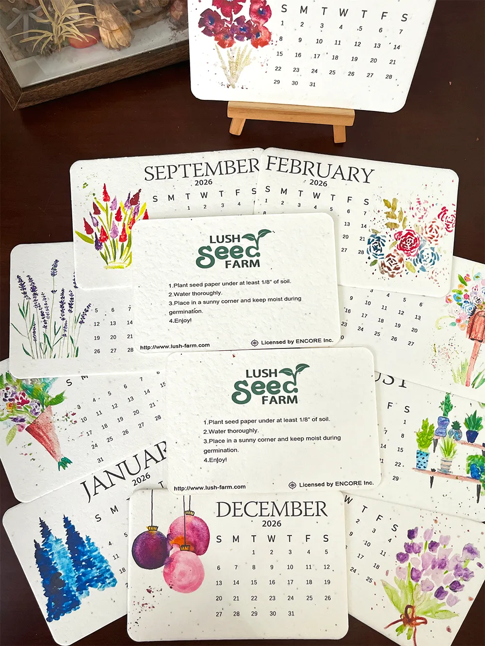 ✨Black Friday Sale 70% OFF🌱Eco-Friendly Plantable Seed Calendar 2026
