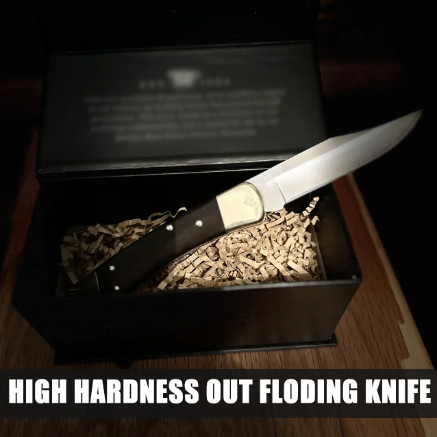 🔥Special US Offer: 70% Discount! 🎁BUCK 110 Automatic Elite Hardness Hydraulic Knife