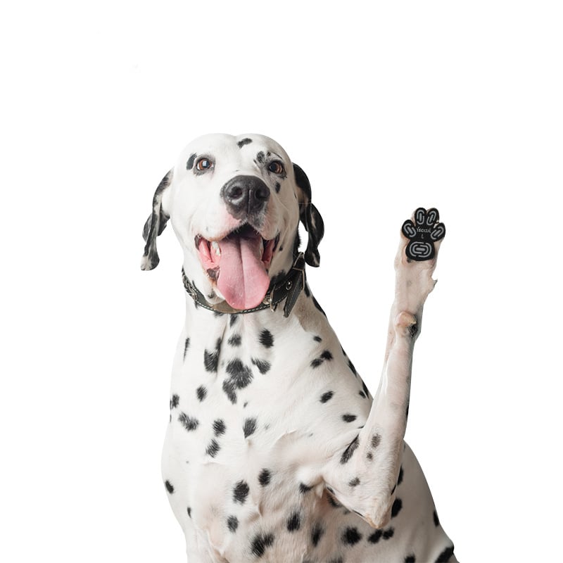 🐾Dog Paw Protector Anti-Slip Pads