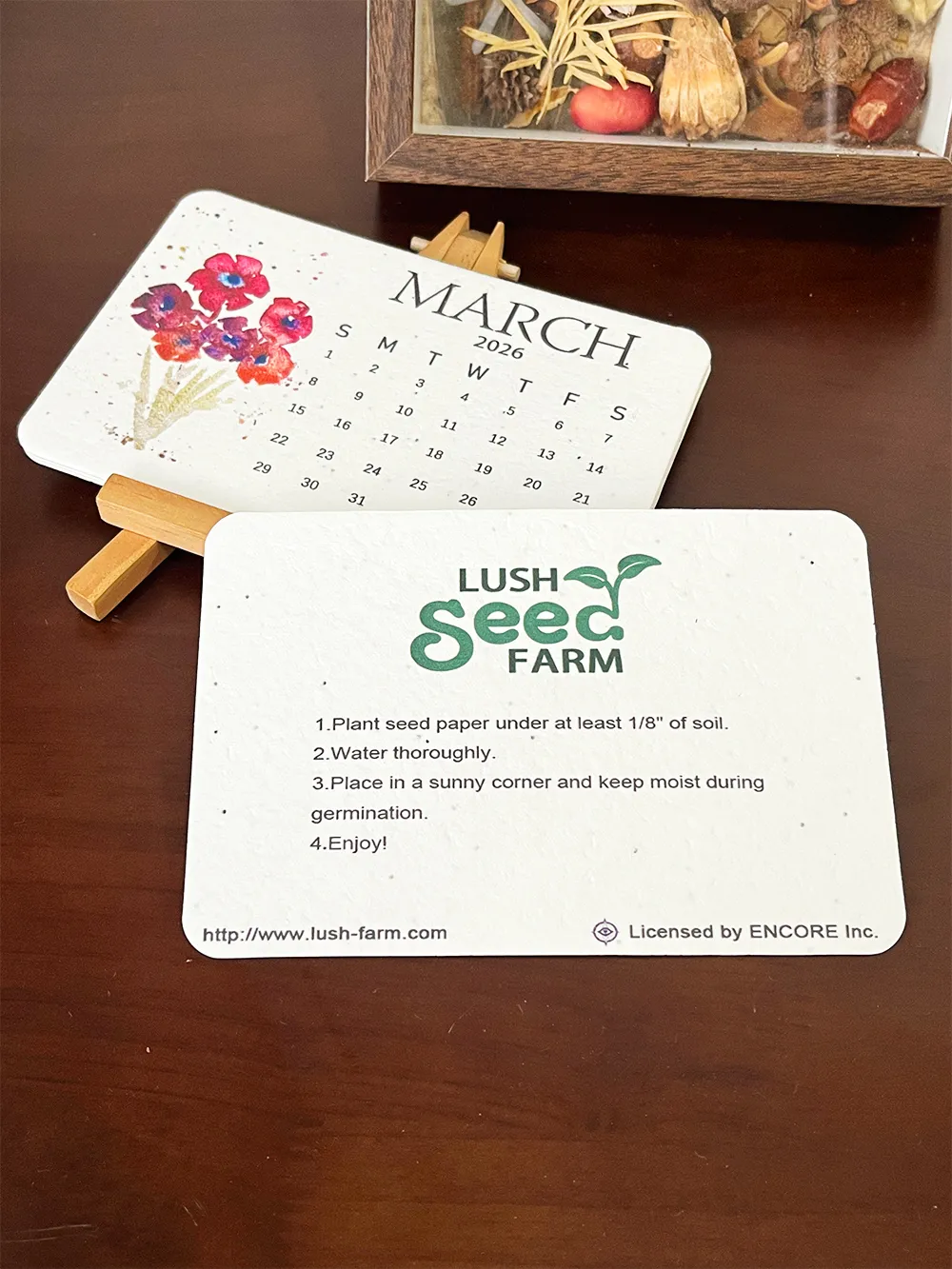 ✨Black Friday Sale 70% OFF🌱Eco-Friendly Plantable Seed Calendar 2026