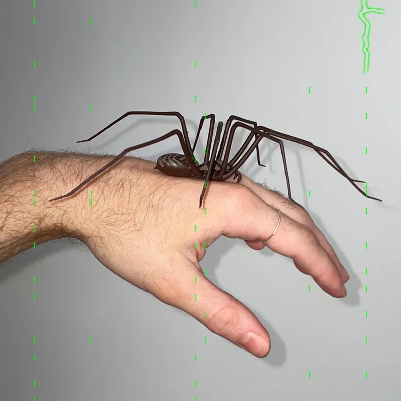 🔥Hot Sale 70% OFF - 🎁Realistic giant house spider fridge magnet