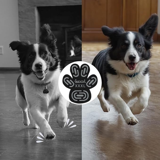 🐾Dog Paw Protector Anti-Slip Pads