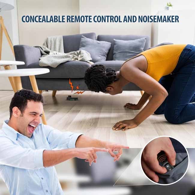 🔥Father's Day Sale 70% OFF - Cricket Noise Maker Prank with Remote Control