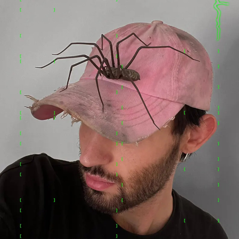 🔥Hot Sale 70% OFF - 🎁Realistic giant house spider fridge magnet