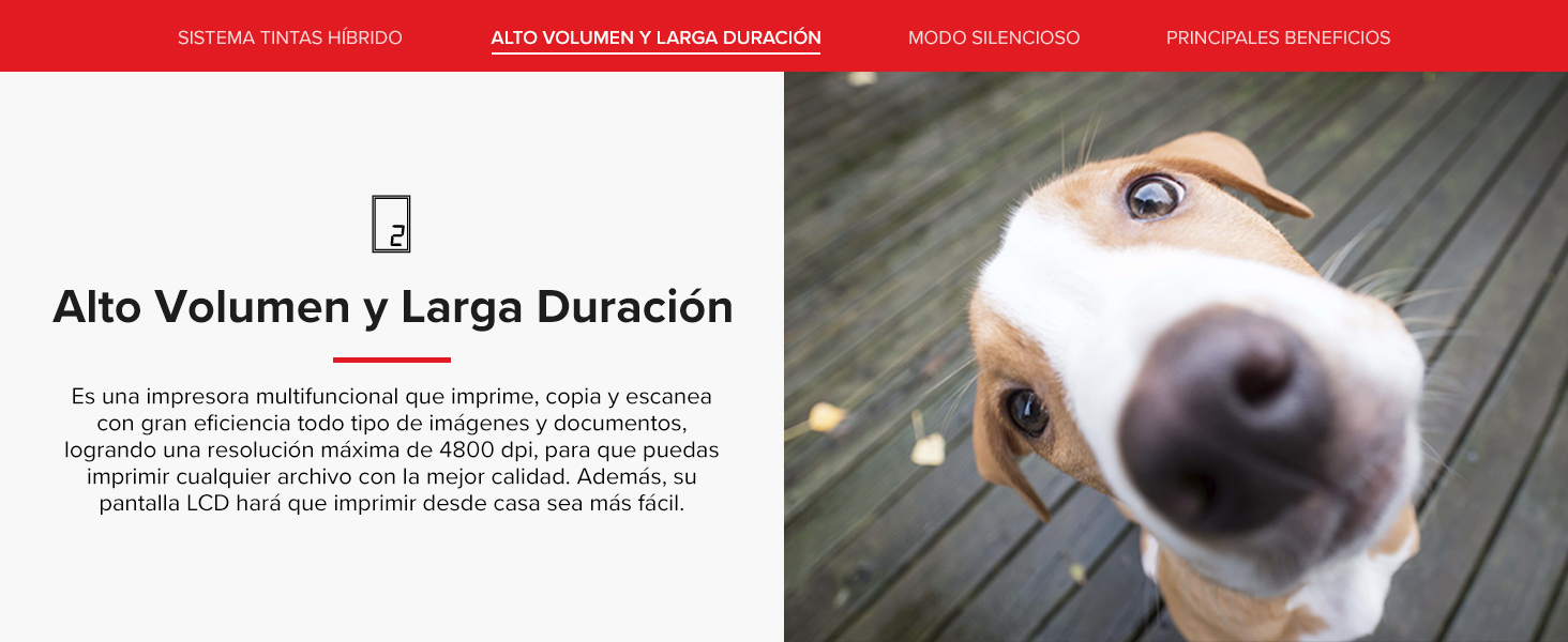 canon pixma g2110 printer