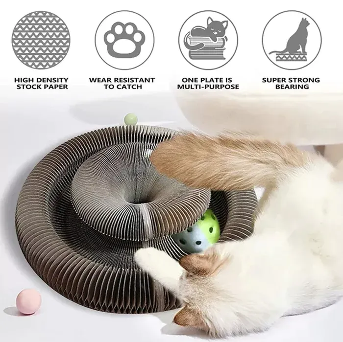 (Last Day Promotion 50% OFF!)-⚡ Magic Cat Scratching Board 🔥