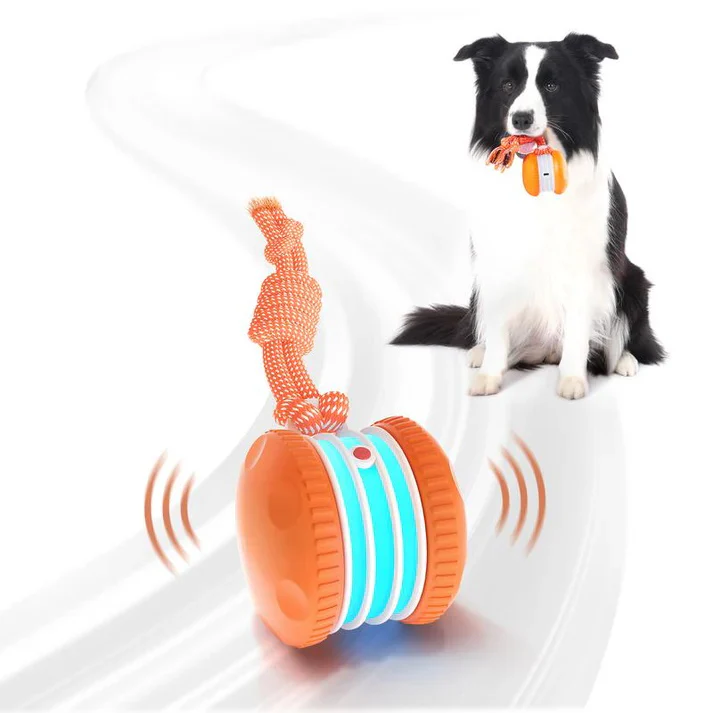 🐶Your dog needs play – Keep Your Pet Relaxed, Happy & Content 🐾