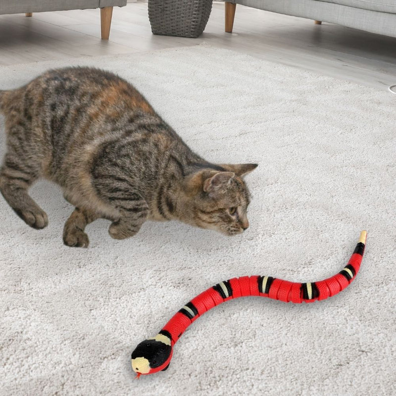 INTERACTIVE CAT TOY