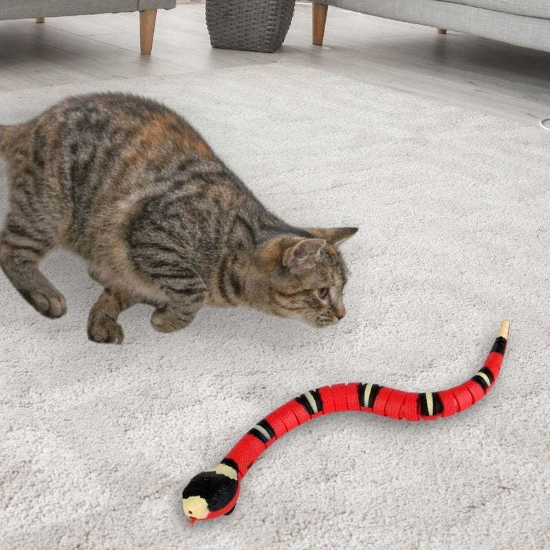 INTERACTIVE CAT TOY