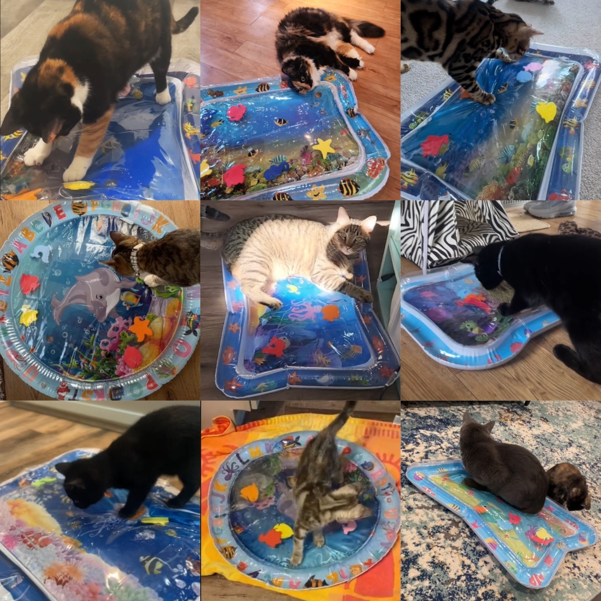 🔥LAST DAY-50% Off😻Summer Fun Pet Water Mat
