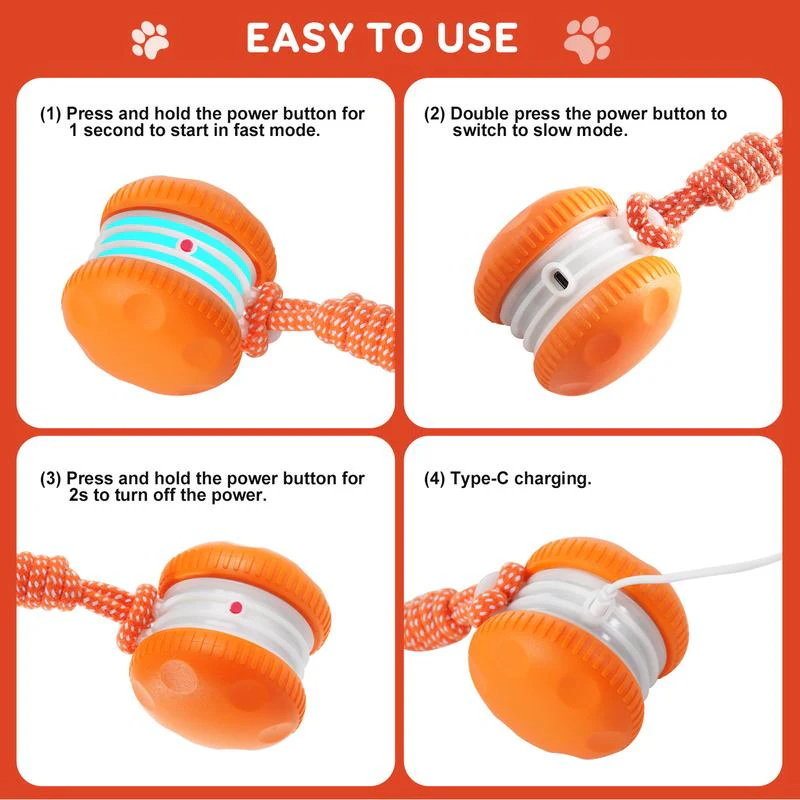 🐶Your dog needs play – Keep Your Pet Relaxed, Happy & Content 🐾