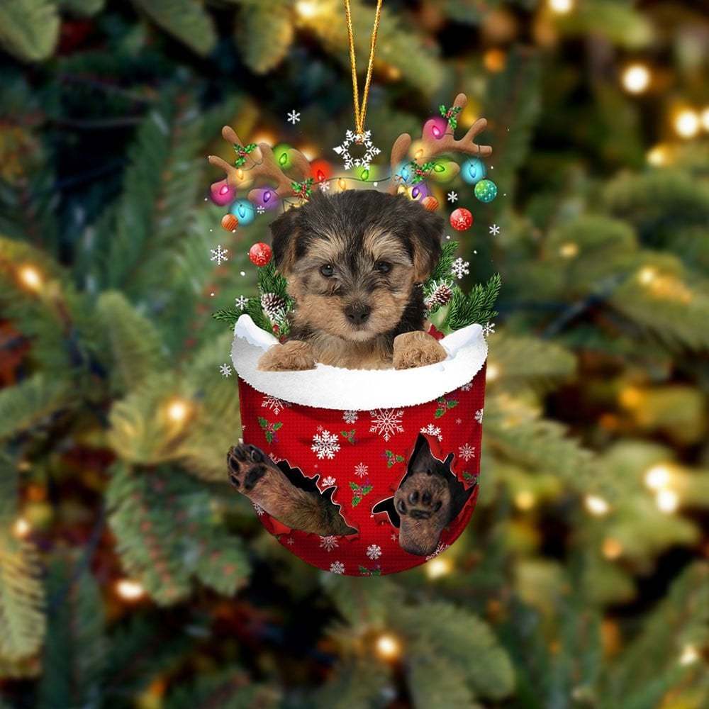 Yorkipoo In Snow Pocket Ornament