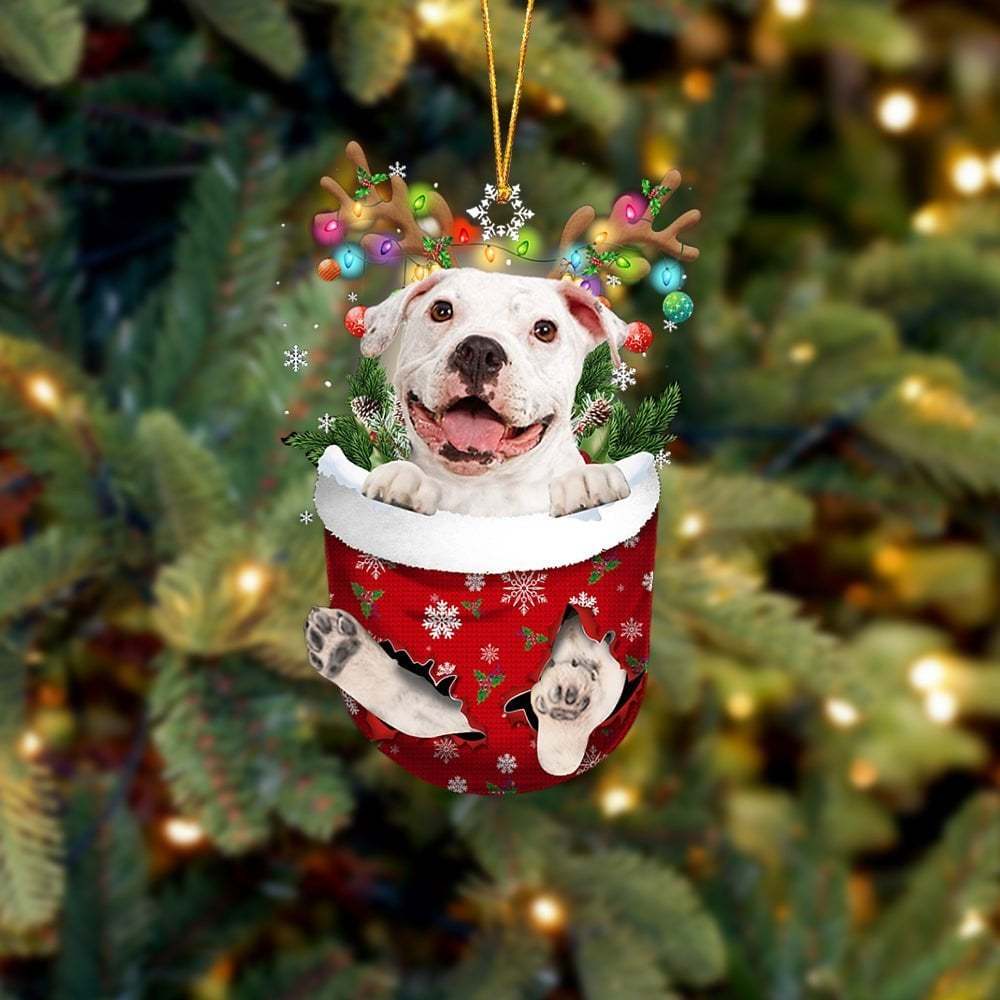 WHITE Pitbulll In Snow Pocket Ornament