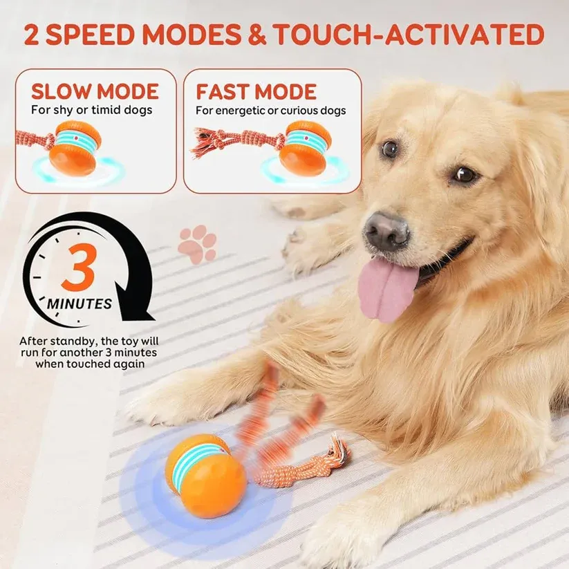 🐶Your dog needs play – Keep Your Pet Relaxed, Happy & Content 🐾