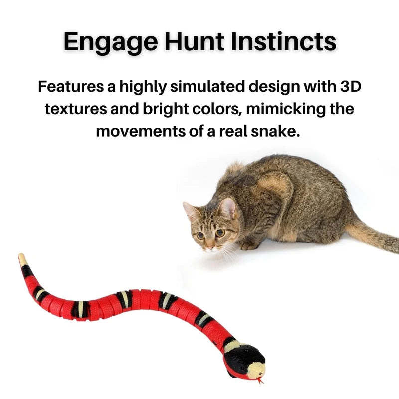 INTERACTIVE CAT TOY