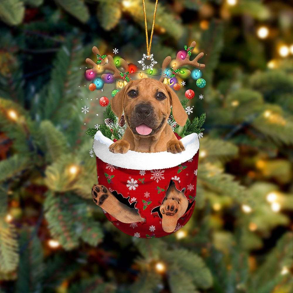 Boerboel In Snow Pocket Ornament