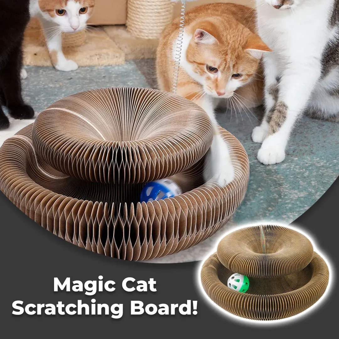 (Last Day Promotion 50% OFF!)-⚡ Magic Cat Scratching Board 🔥
