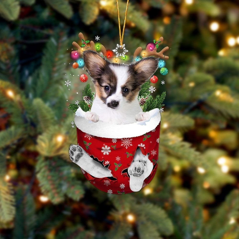 Papillon 1 In Snow Pocket Ornament