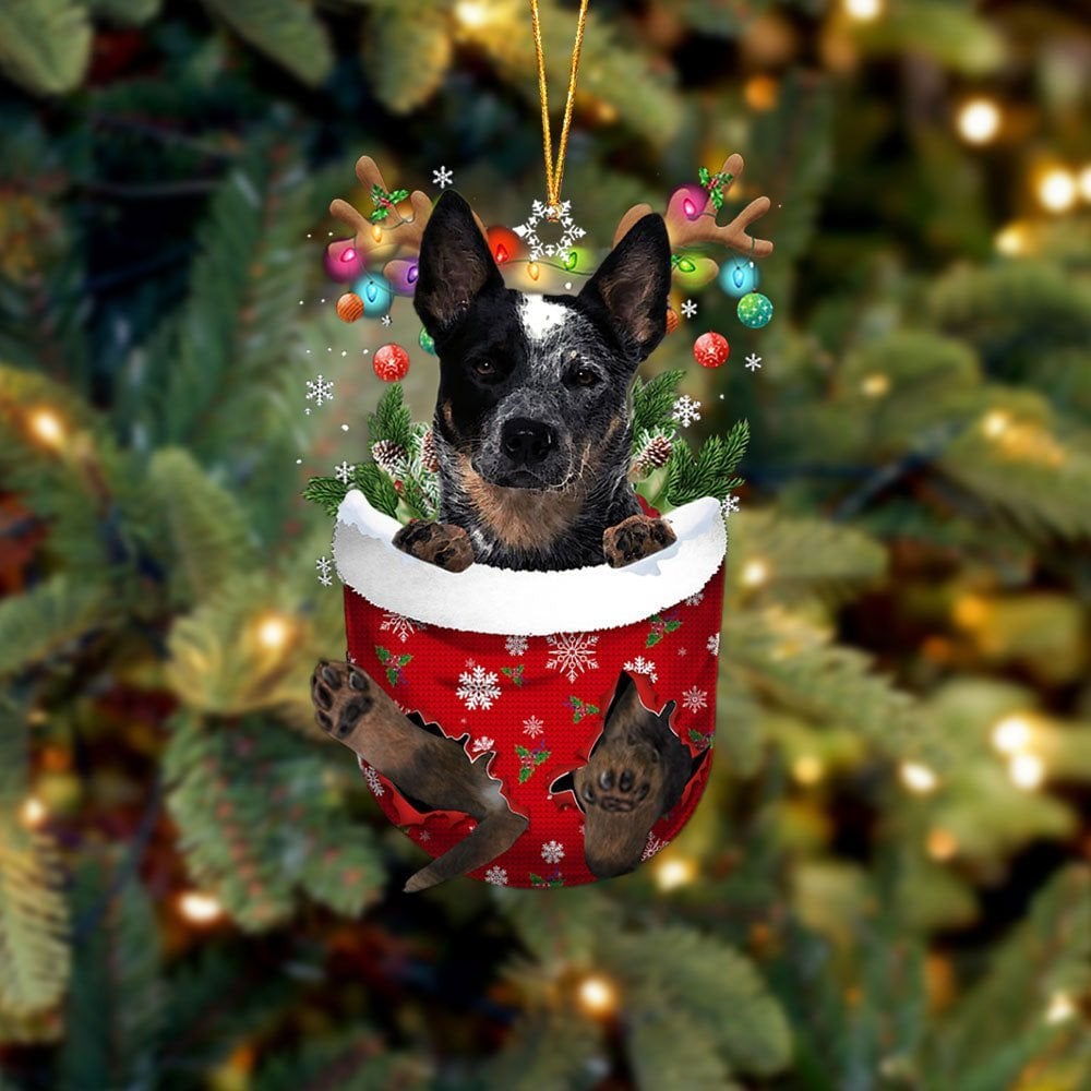 Blue Heeler In Snow Pocket Ornament