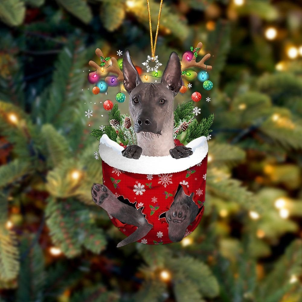 Xoloitzcuintli In Snow Pocket Ornament
