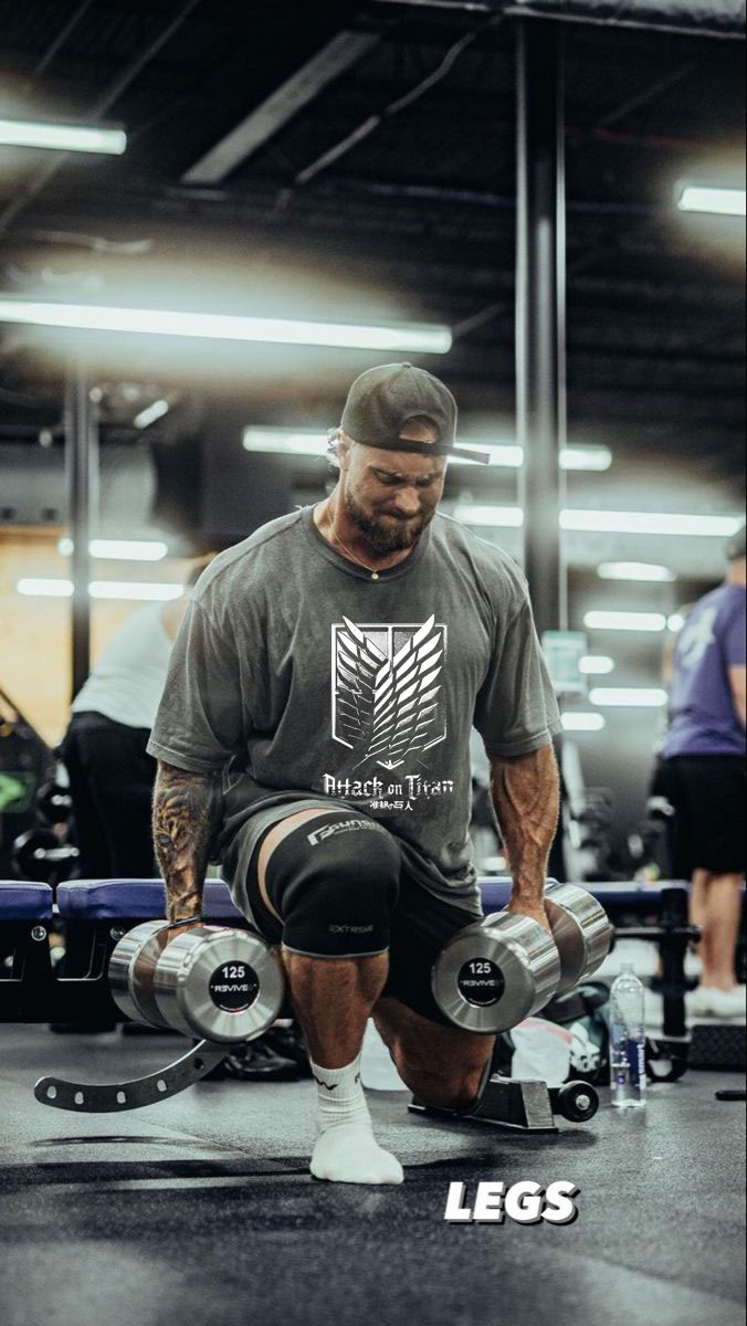 Attack On Titan "Blazon I" Washed Tee