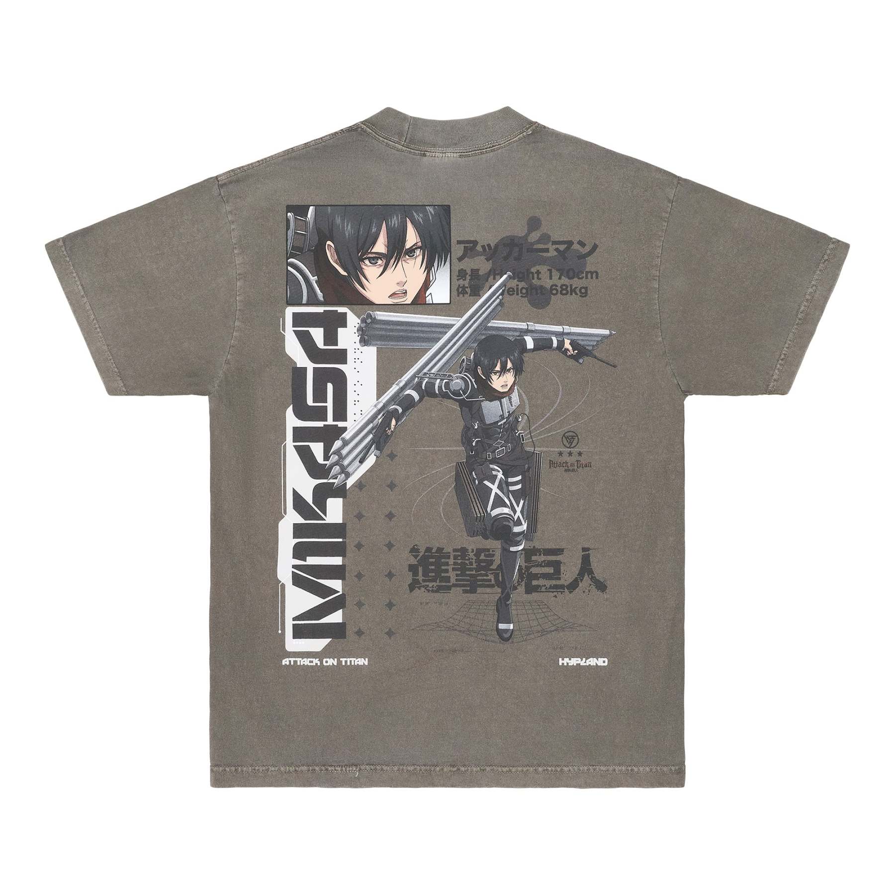 AOT HIDDEN TITAN SHIRT